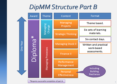 DipMM Structure Part B