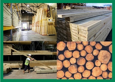 BMF Timber Forum