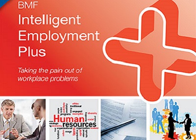 BMF Intelligent employment plus
